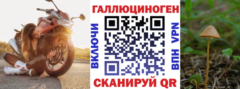 Галлюциногенные грибы Magic Shrooms  Корсаков 